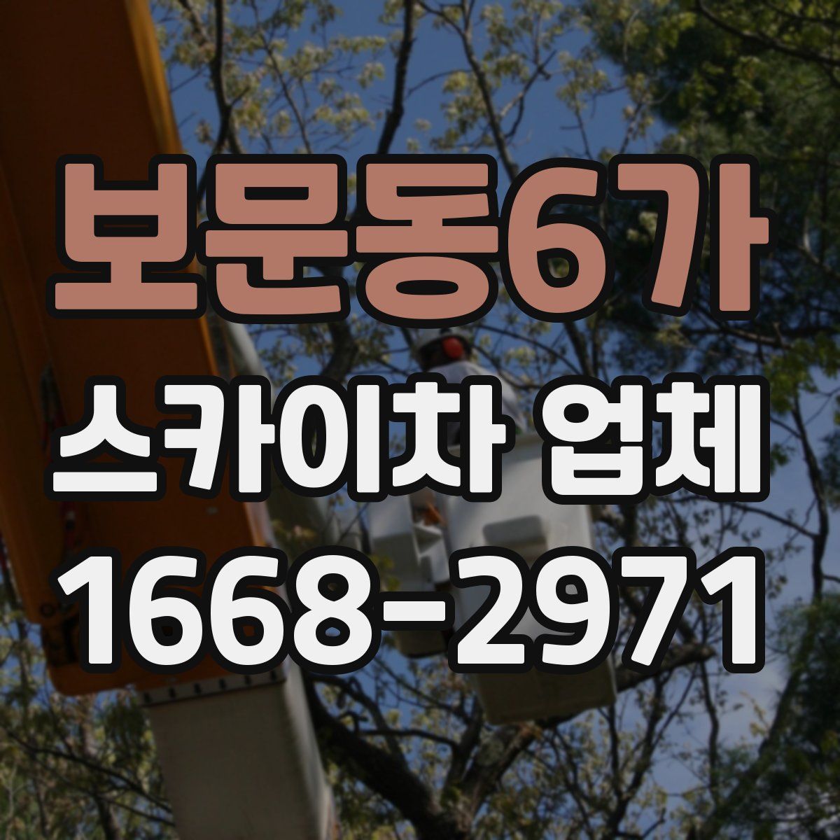 보문동6가 스카이차 업체
