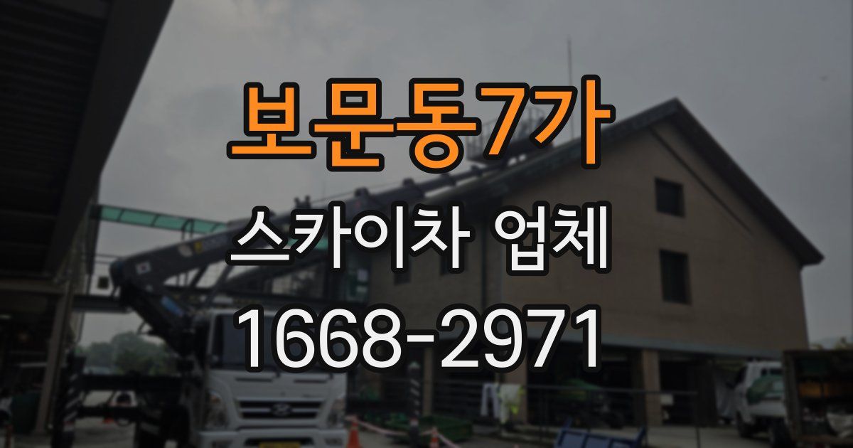 보문동7가 스카이차 업체