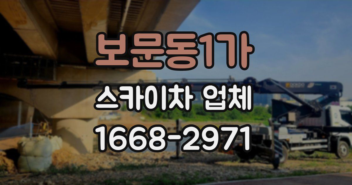 보문동1가 스카이차 업체