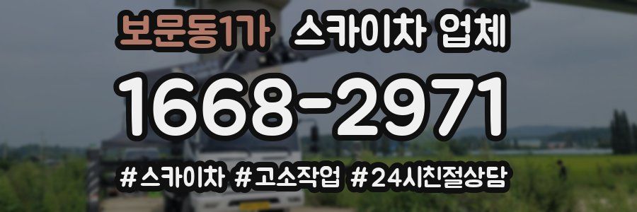 보문동1가 스카이차 업체