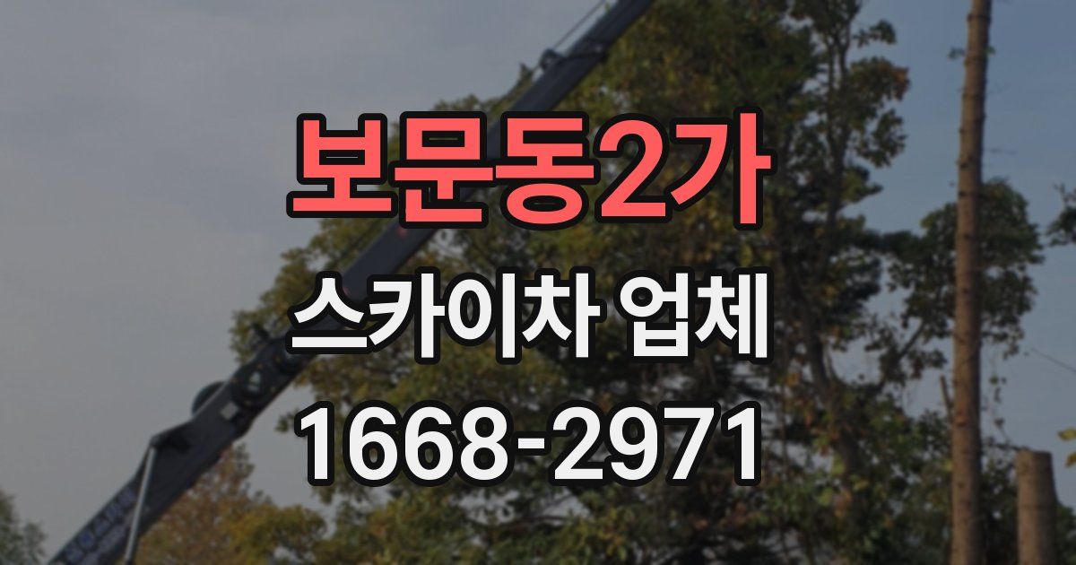 보문동2가 스카이차 업체