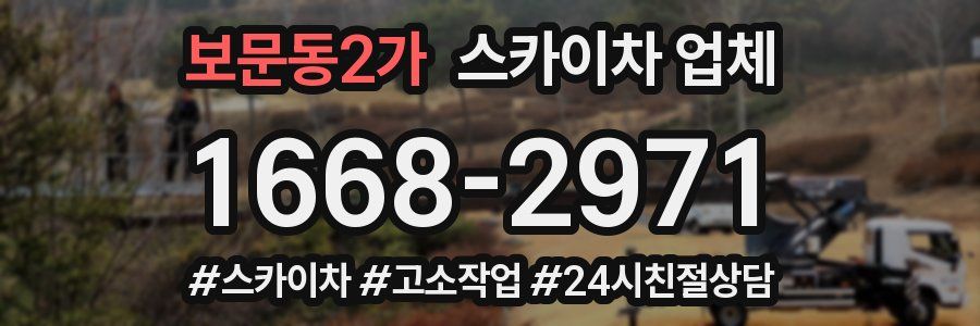보문동2가 스카이차 업체