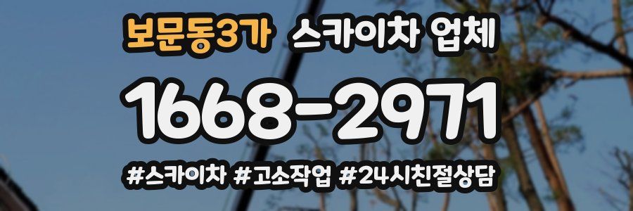 보문동3가 스카이차 업체