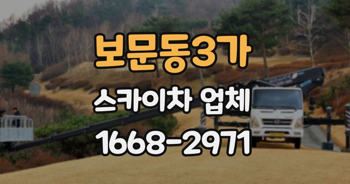 보문동3가 스카이차 업체