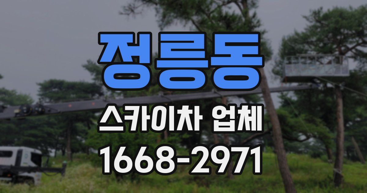 정릉동 스카이차 업체
