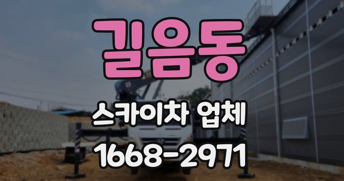길음동 스카이차 업체