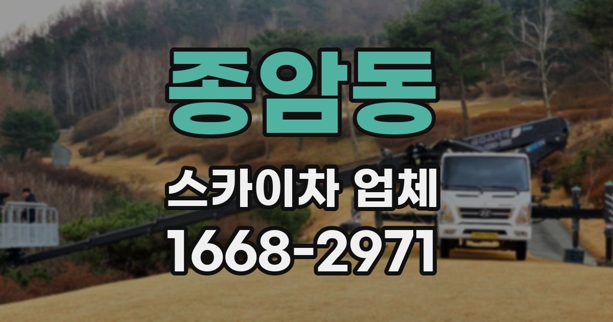 종암동 스카이차 업체