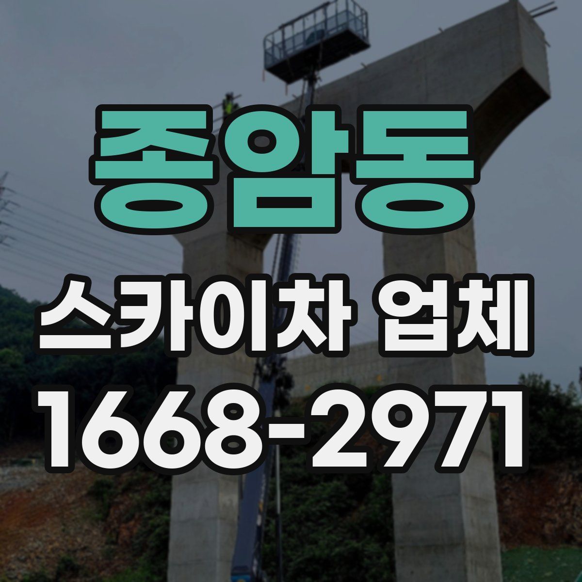 종암동 스카이차 업체