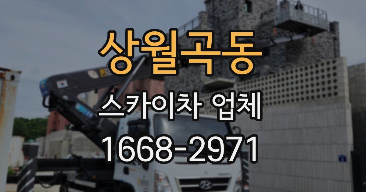 상월곡동 스카이차 업체