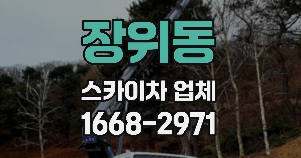 장위동 스카이차 업체