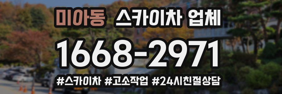 미아동 스카이차 업체