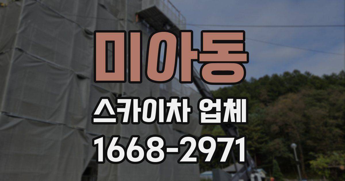 미아동 스카이차 업체