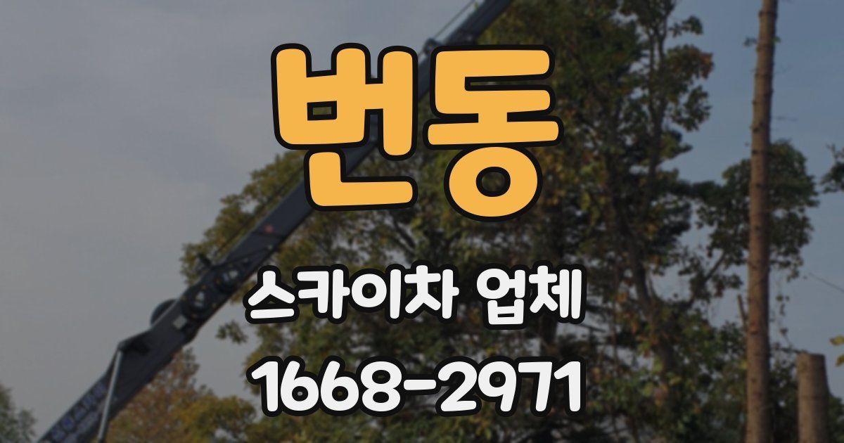 번동 스카이차 업체