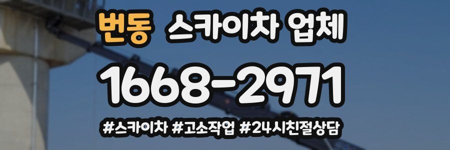 번동 스카이차 업체