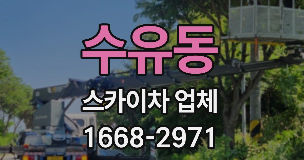 수유동 스카이차 업체