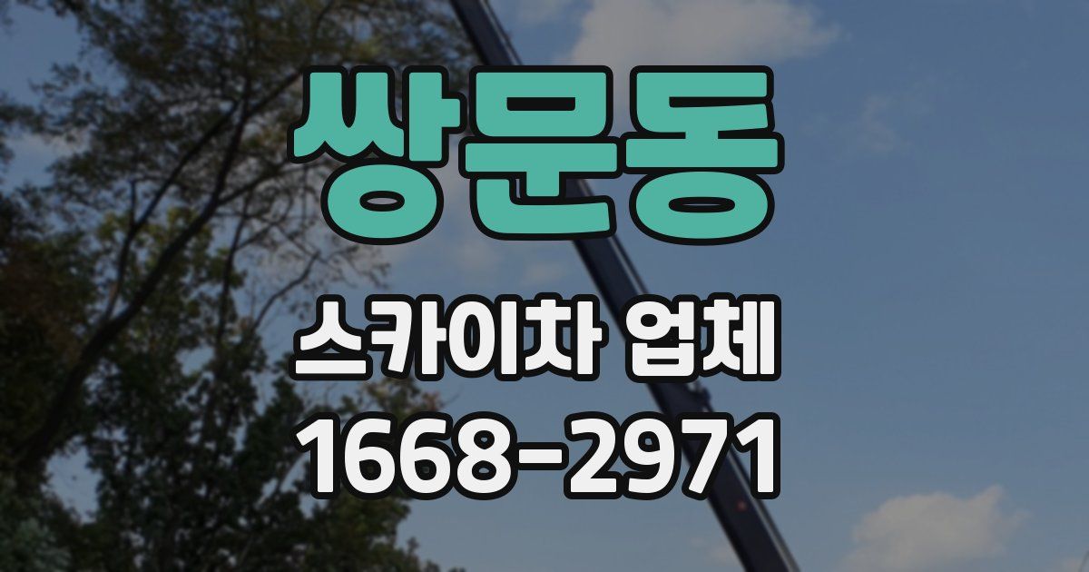 쌍문동 스카이차 업체