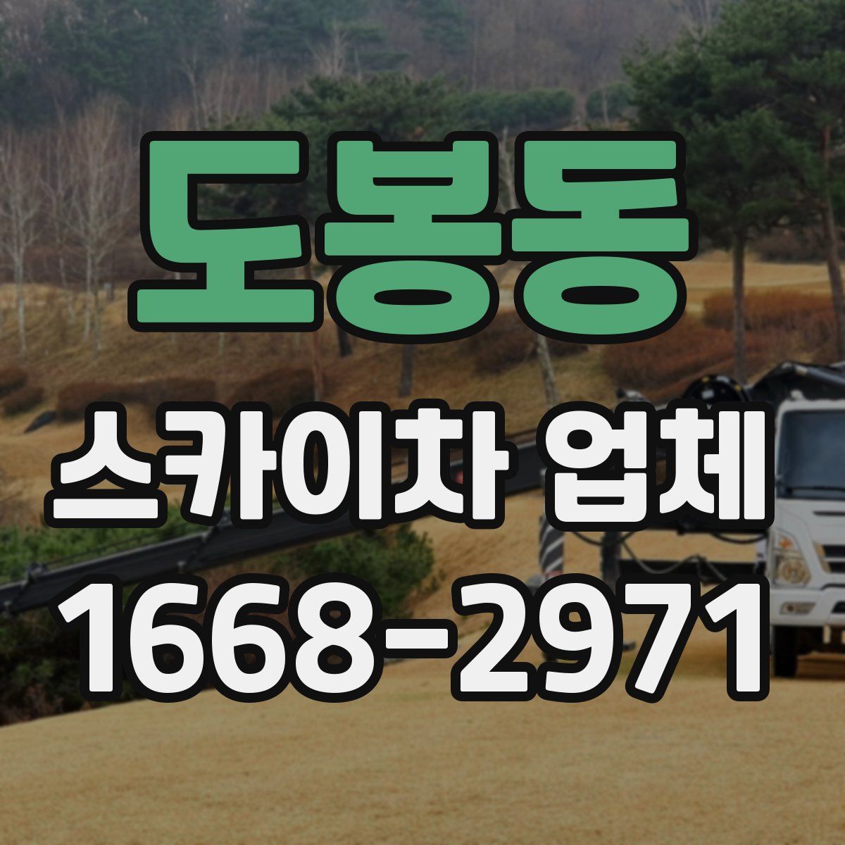 도봉동 스카이차 업체