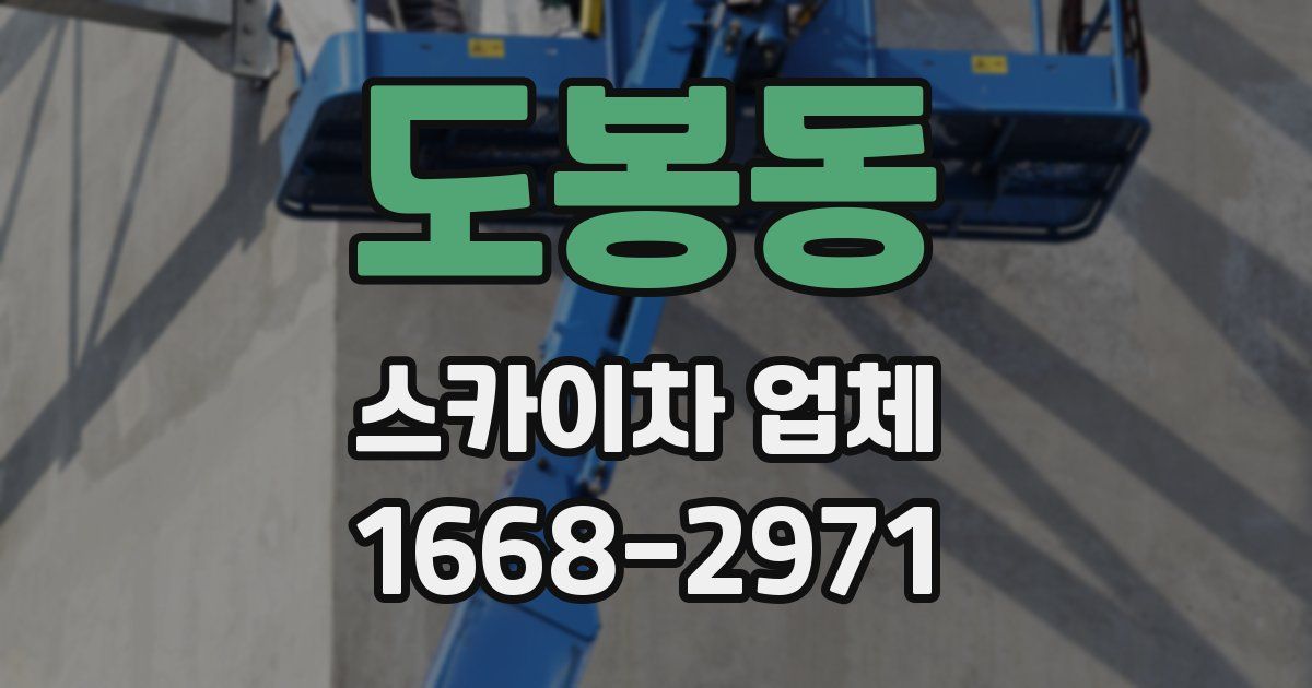 도봉동 스카이차 업체