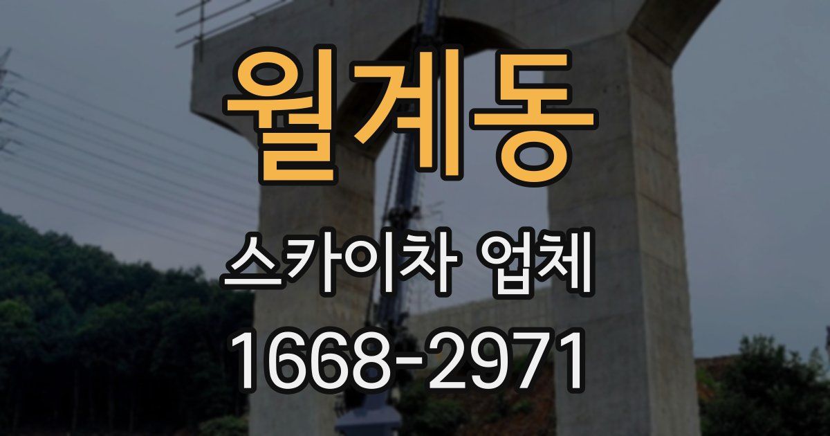 월계동 스카이차 업체