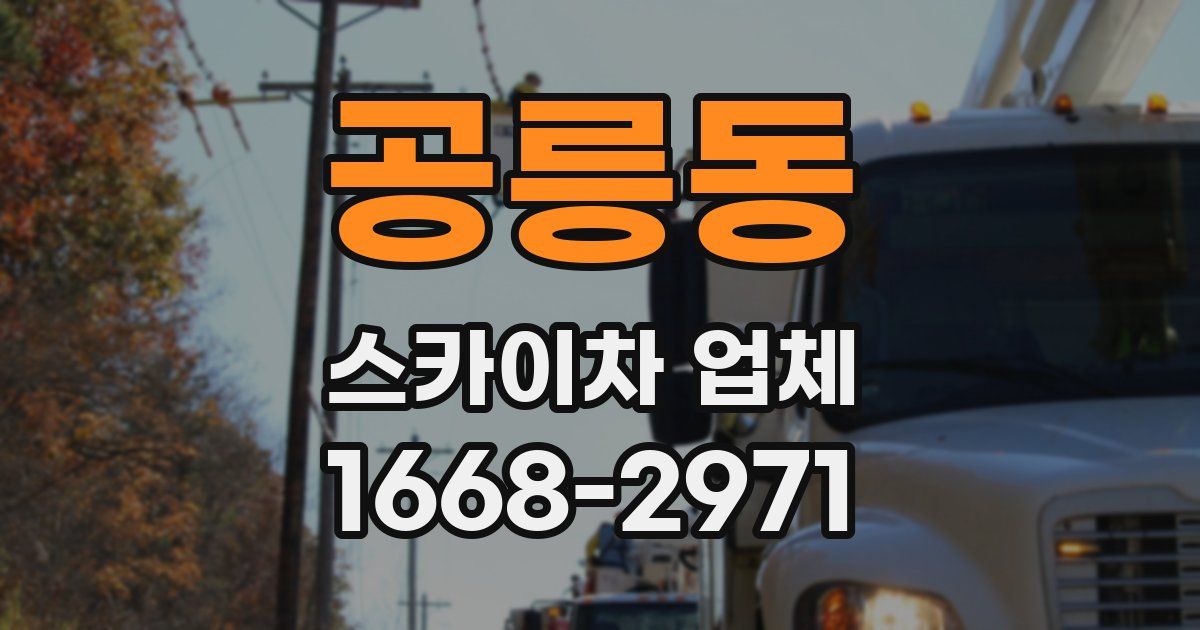공릉동 스카이차 업체
