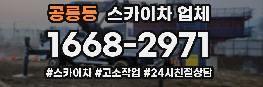 공릉동 스카이차 업체