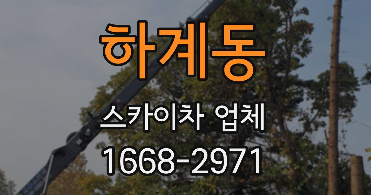 하계동 스카이차 업체