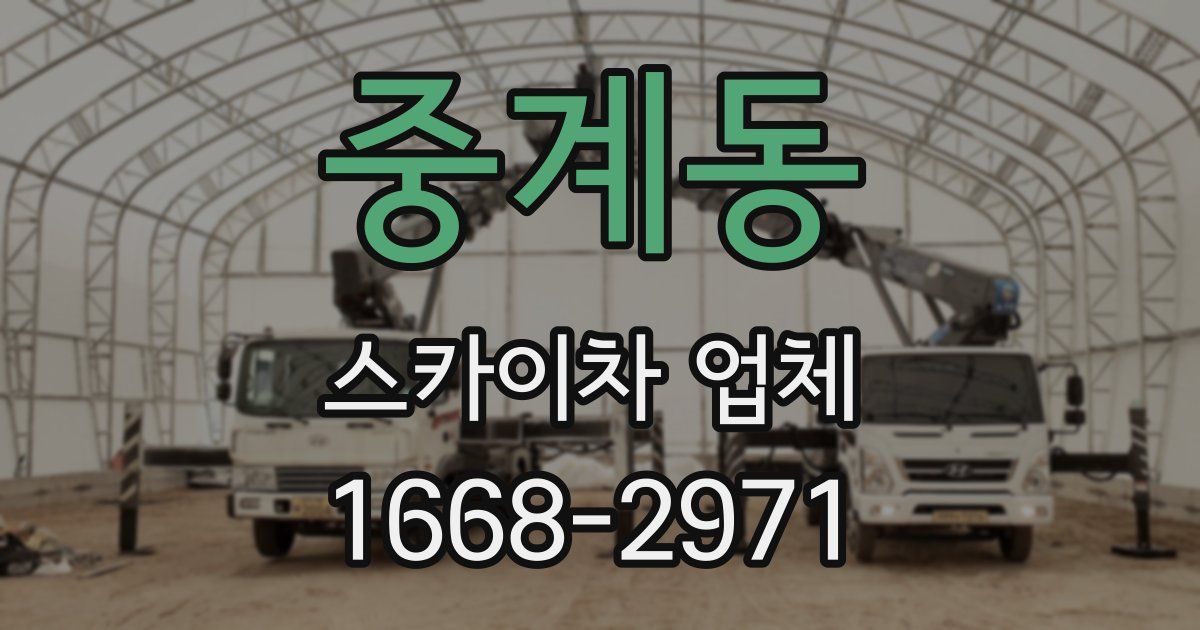 중계동 스카이차 업체