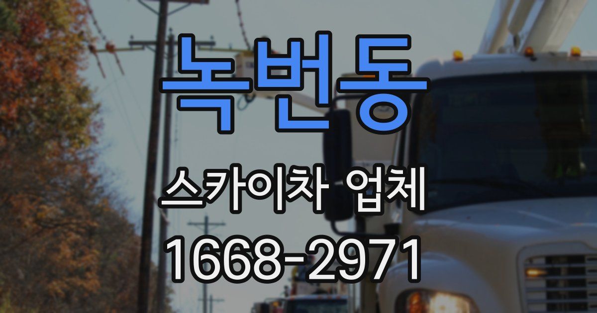 녹번동 스카이차 업체