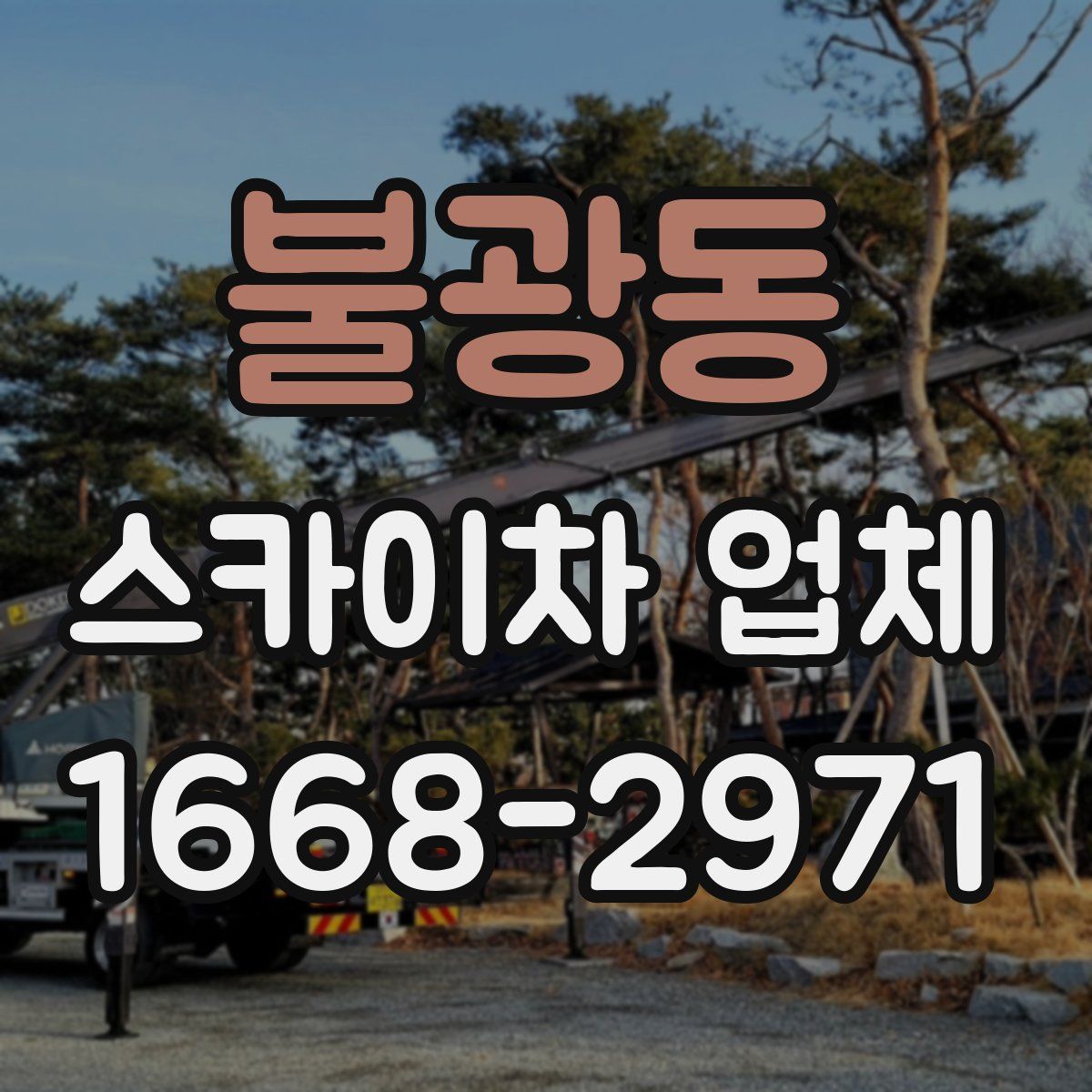 불광동 스카이차 업체