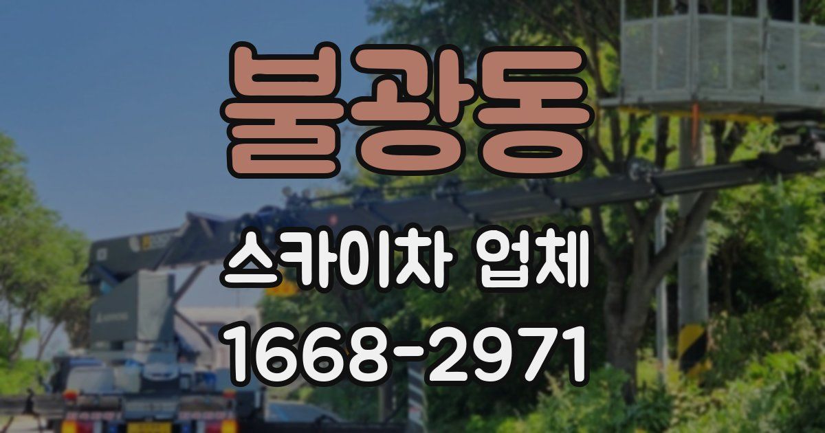 불광동 스카이차 업체