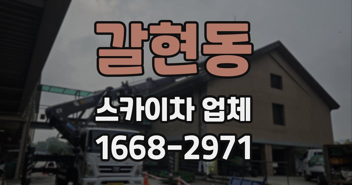 갈현동 스카이차 업체