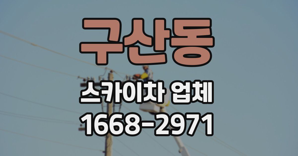 구산동 스카이차 업체