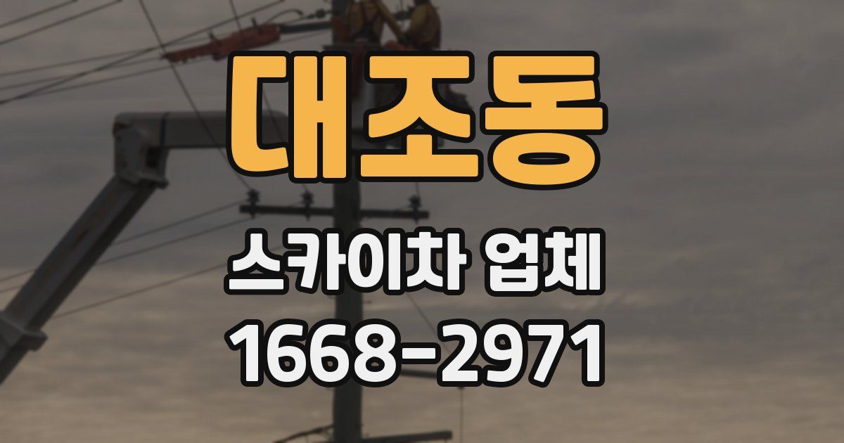 대조동 스카이차 업체