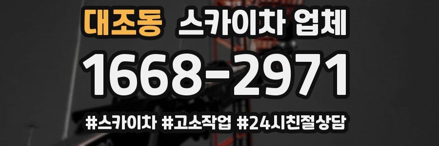 대조동 스카이차 업체