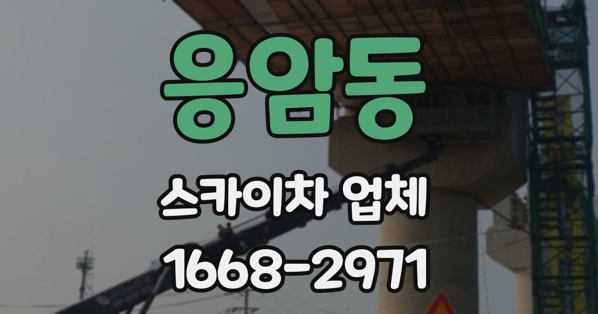응암동 스카이차 업체