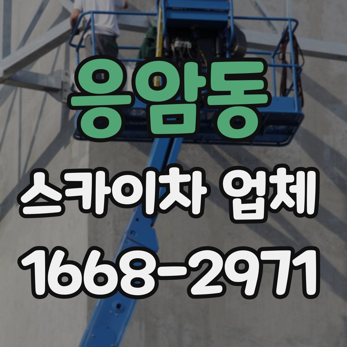 응암동 스카이차 업체