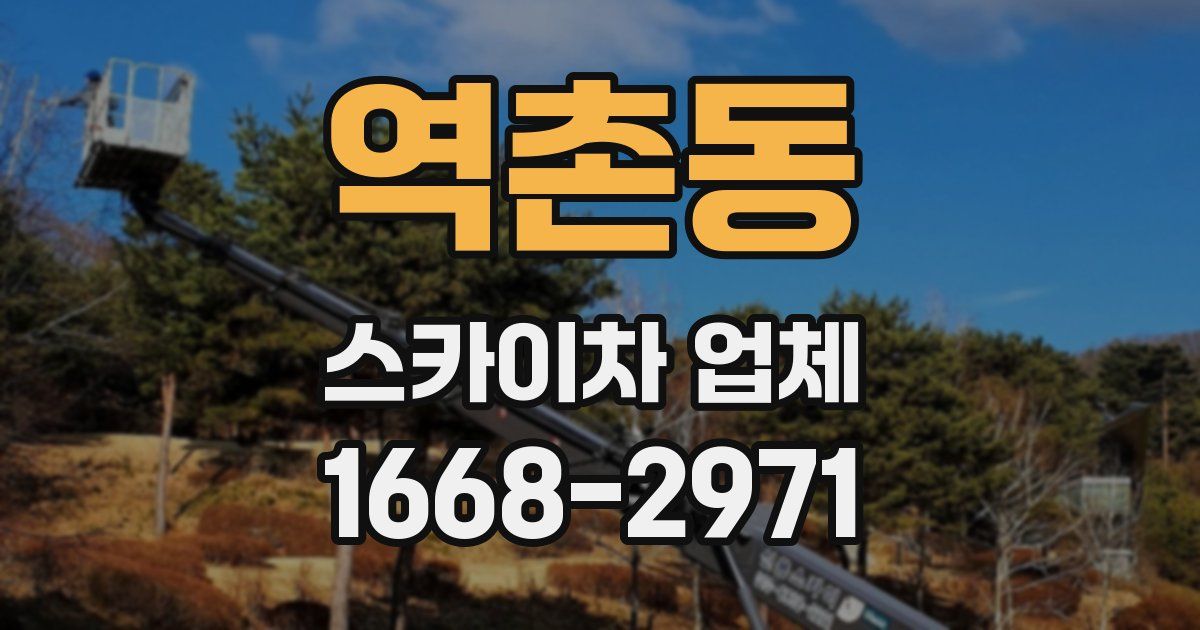 역촌동 스카이차 업체