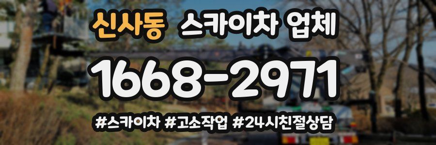 신사동 스카이차 업체