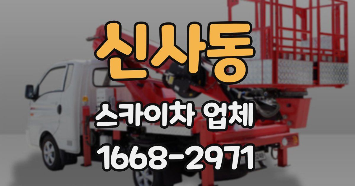 신사동 스카이차 업체