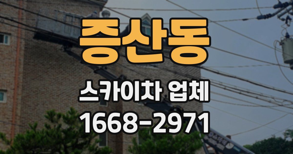 증산동 스카이차 업체