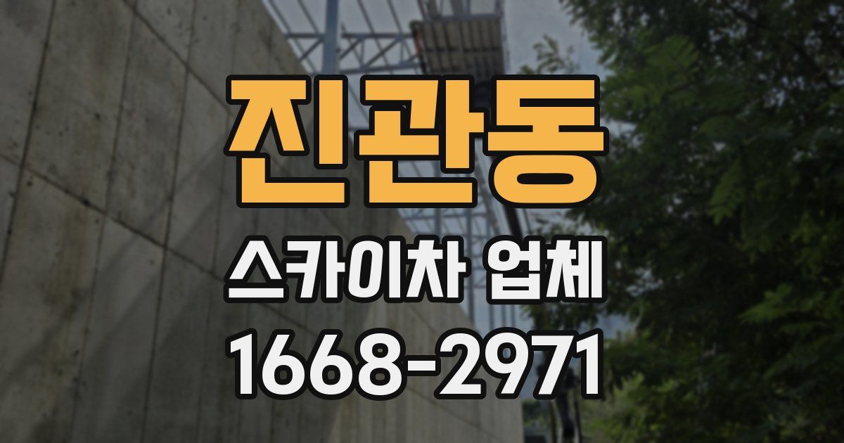 진관동 스카이차 업체