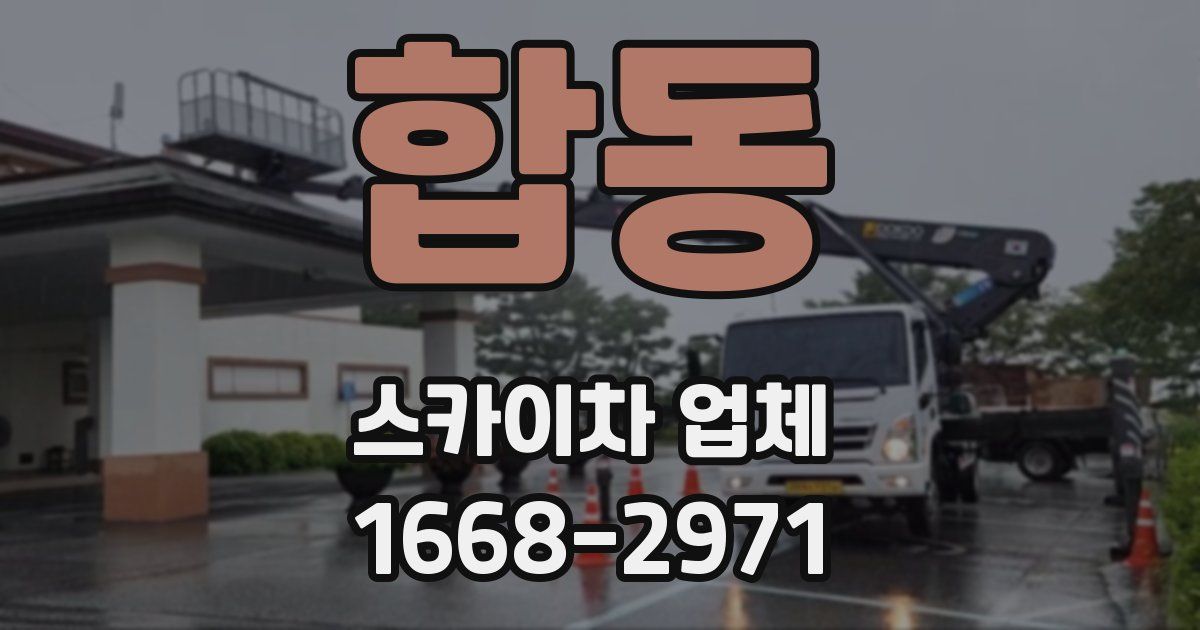 합동 스카이차 업체