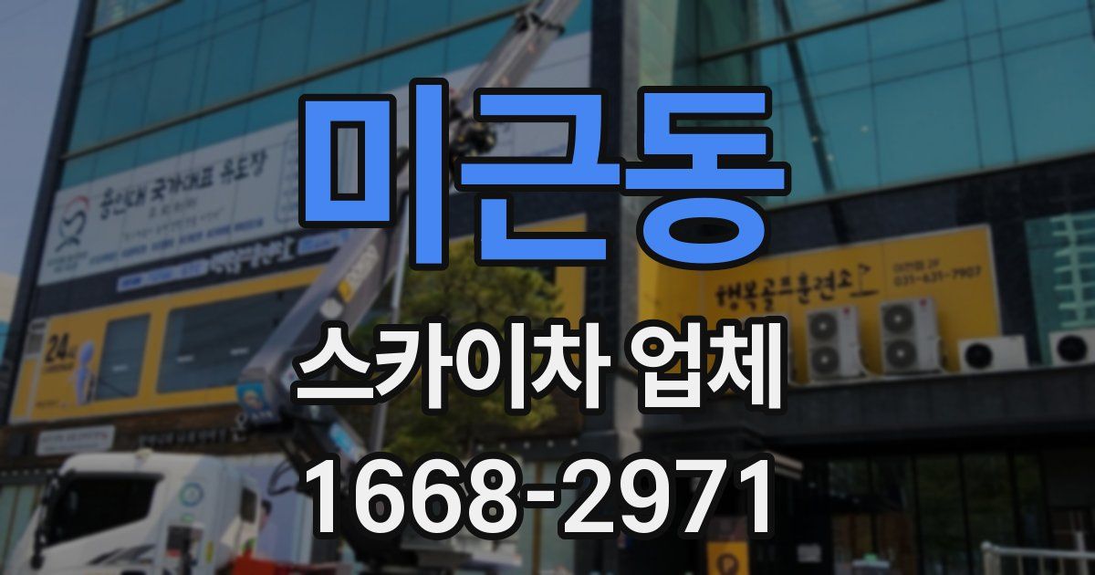 미근동 스카이차 업체