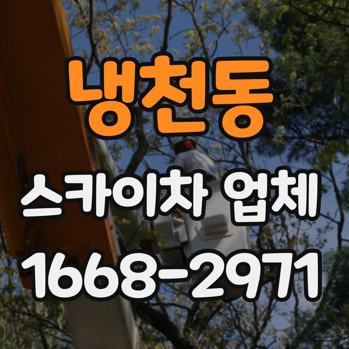 냉천동 스카이차 업체