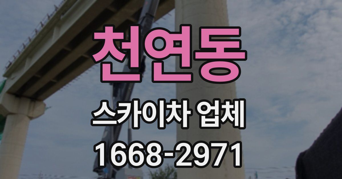 천연동 스카이차 업체