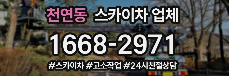 천연동 스카이차 업체