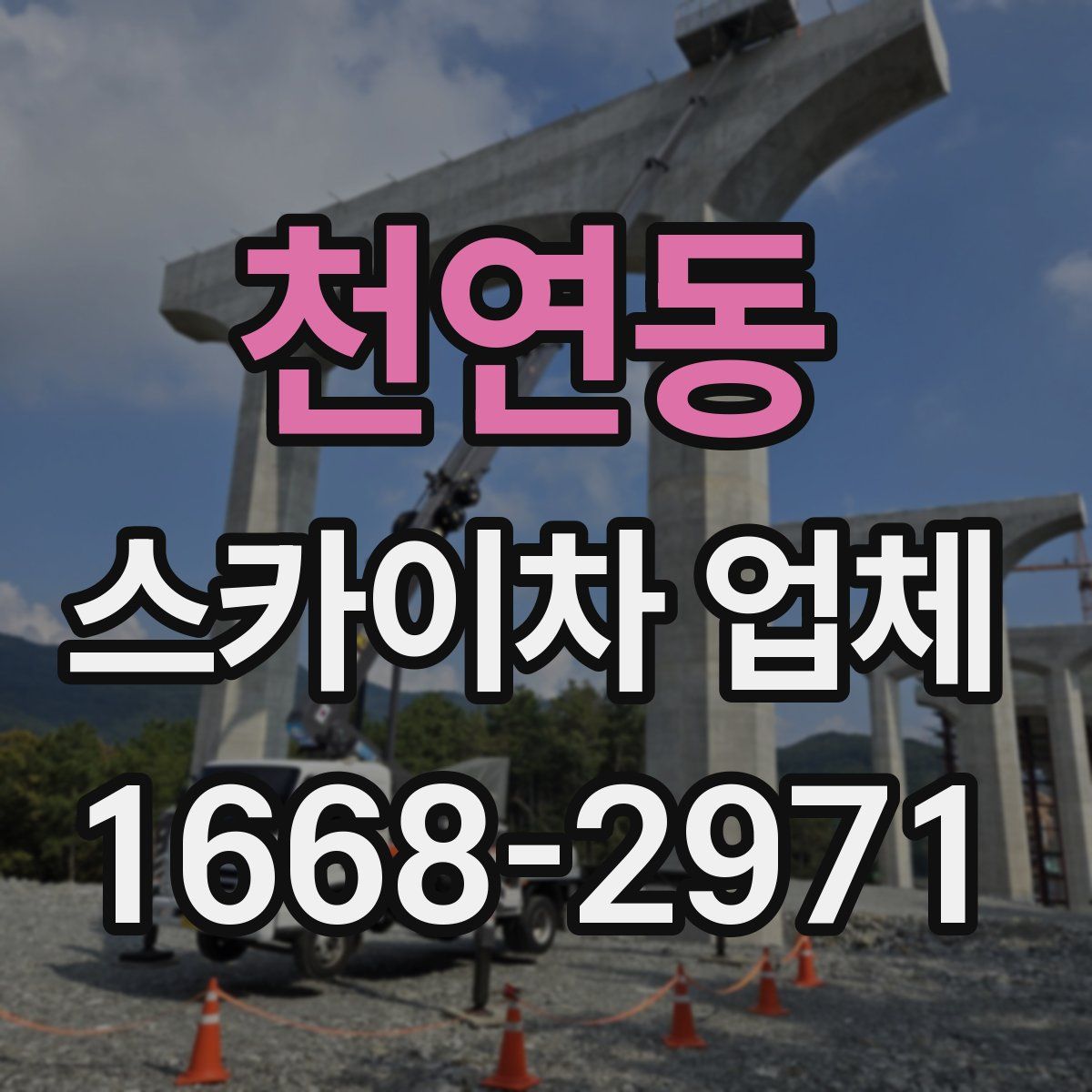 천연동 스카이차 업체