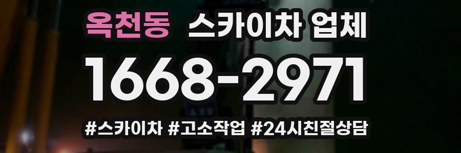 옥천동 스카이차 업체
