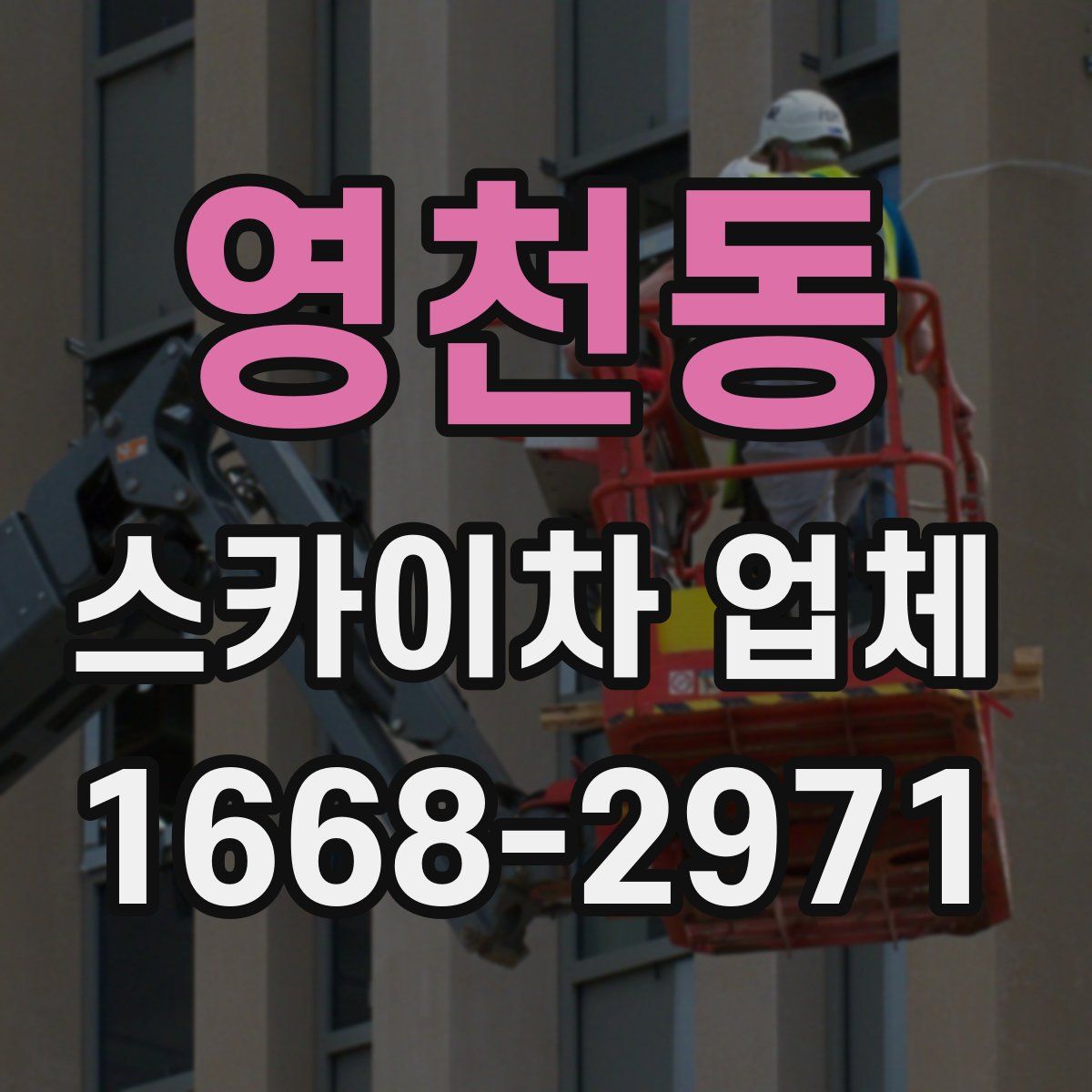 영천동 스카이차 업체
