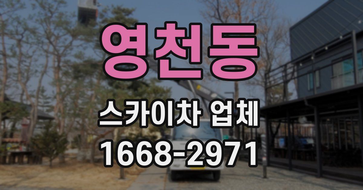 영천동 스카이차 업체